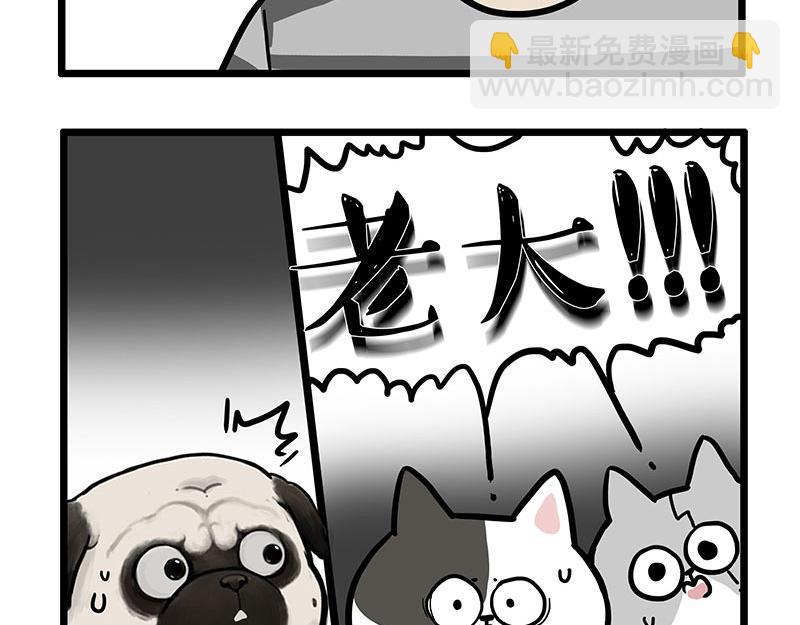 第439话 老大倒下了！29