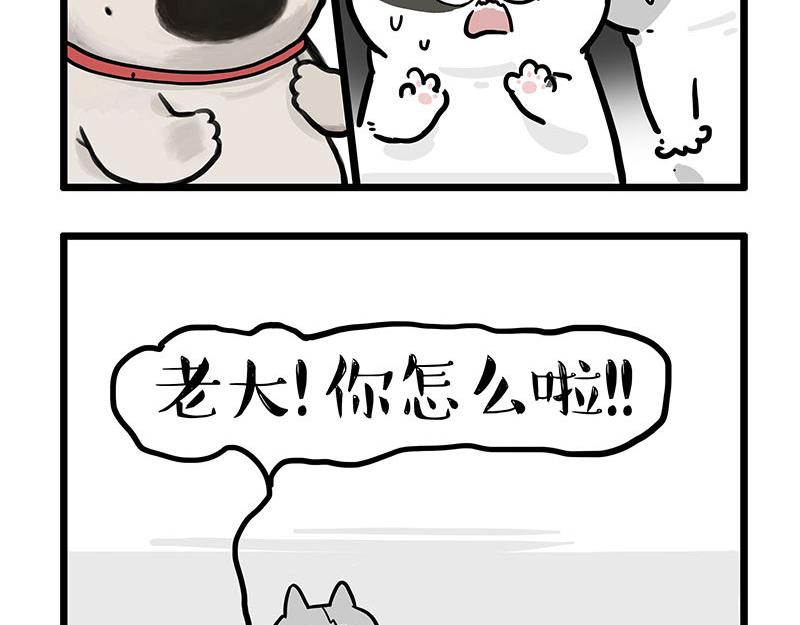 第439话 老大倒下了！30