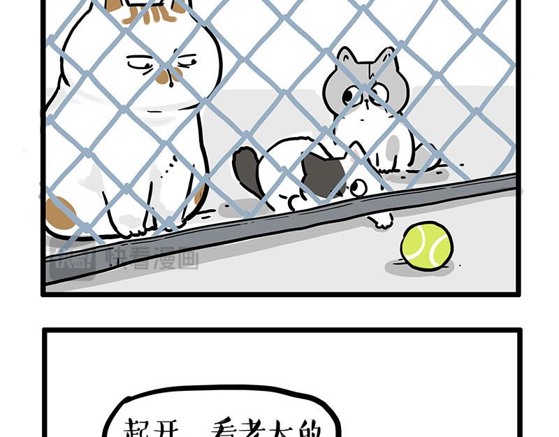 第439话 老大倒下了！4