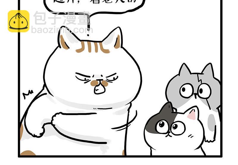 第439话 老大倒下了！5