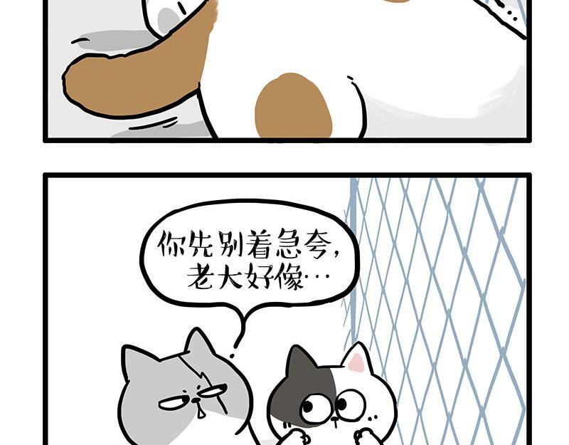 第439话 老大倒下了！8