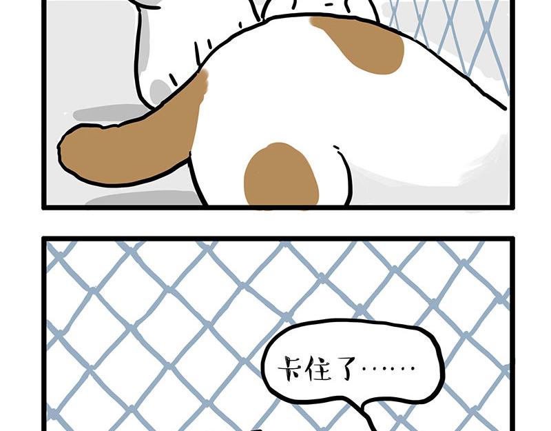 第439话 老大倒下了！9