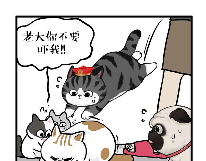 第440话 不要开这种玩笑0