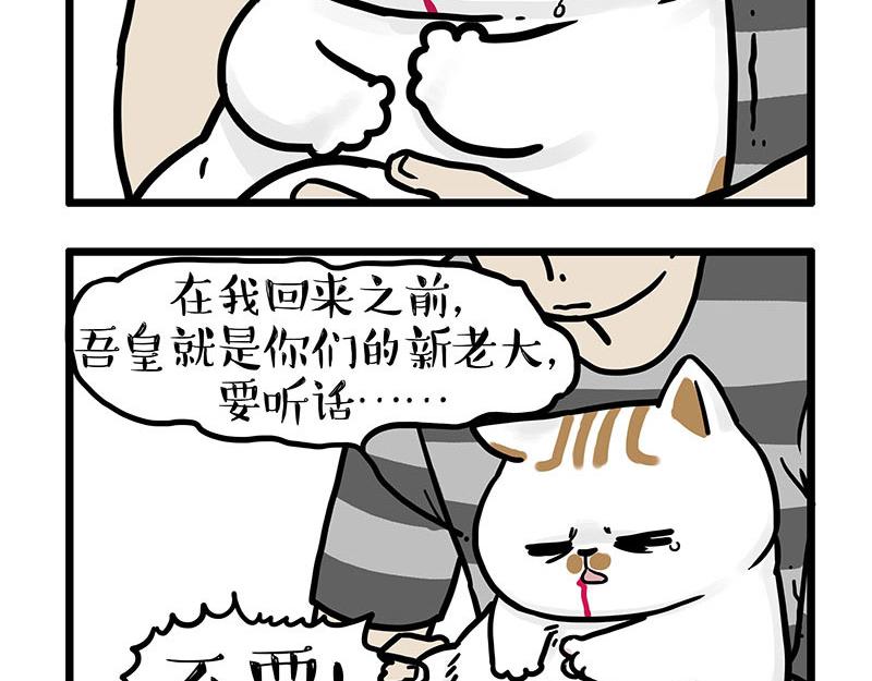 第440话 不要开这种玩笑10