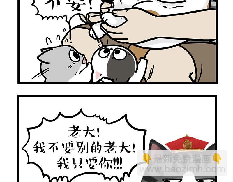 第440话 不要开这种玩笑11