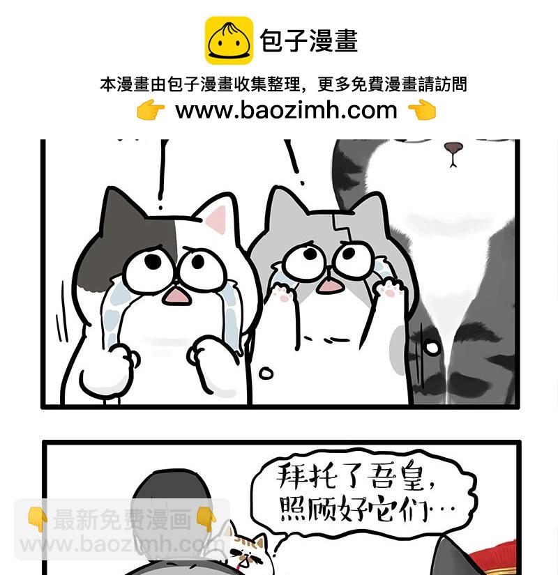 第440话 不要开这种玩笑12