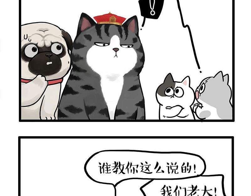 第440话 不要开这种玩笑21