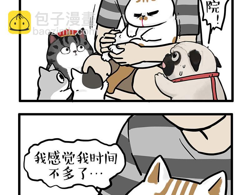 第440话 不要开这种玩笑3