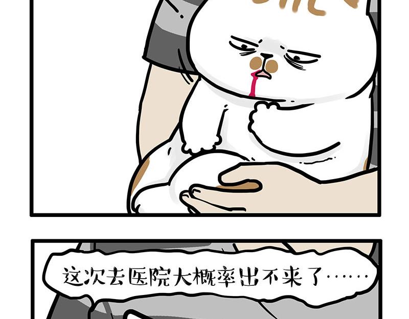 第440话 不要开这种玩笑4