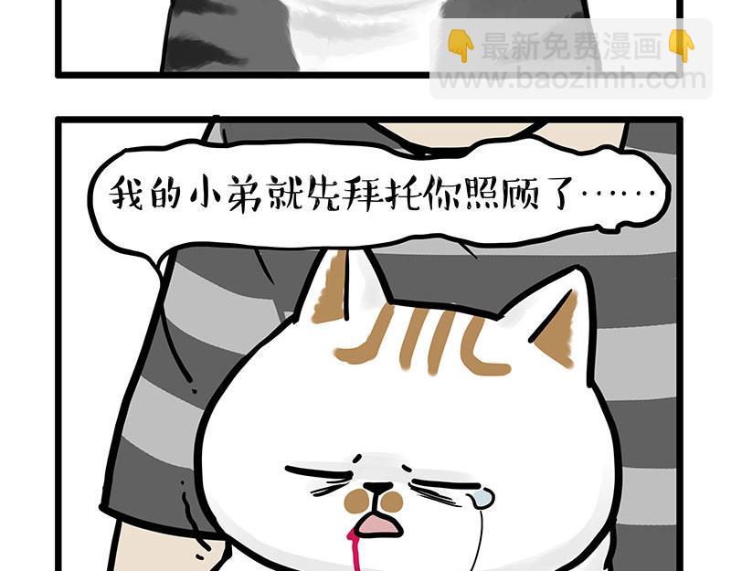 第440话 不要开这种玩笑9