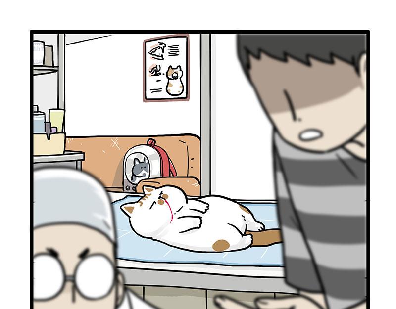 第441话 不要出卖老大！0
