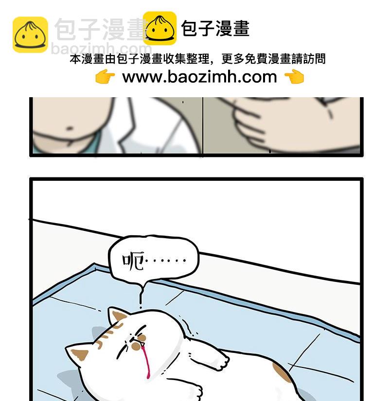 第441话 不要出卖老大！1
