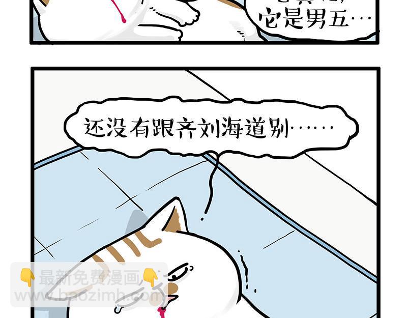 第441话 不要出卖老大！12