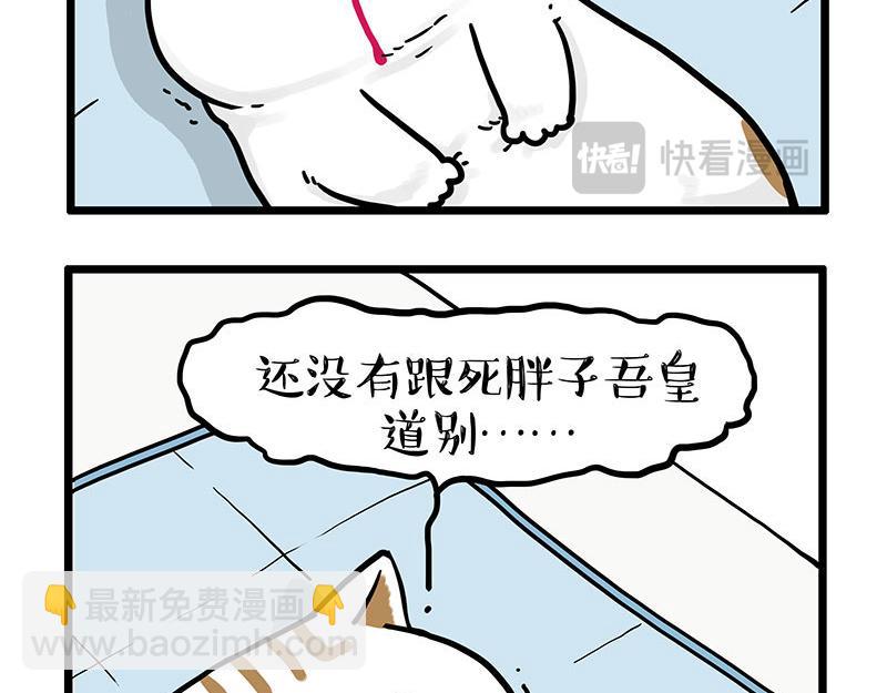 第441话 不要出卖老大！13