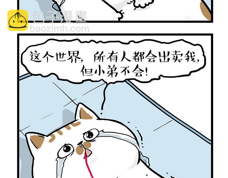 第441话 不要出卖老大！17