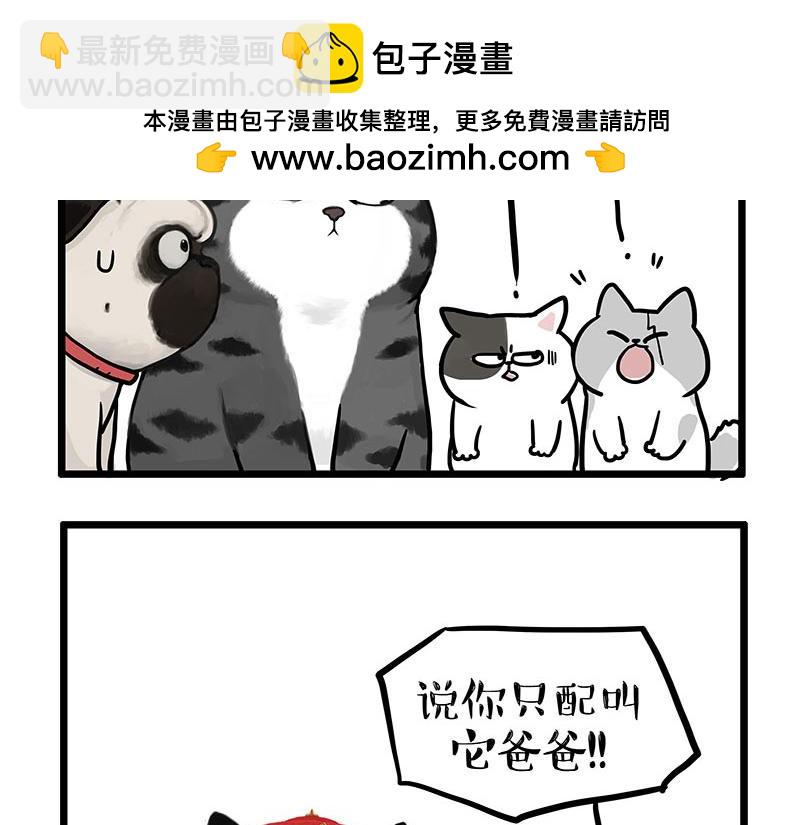 第441话 不要出卖老大！19