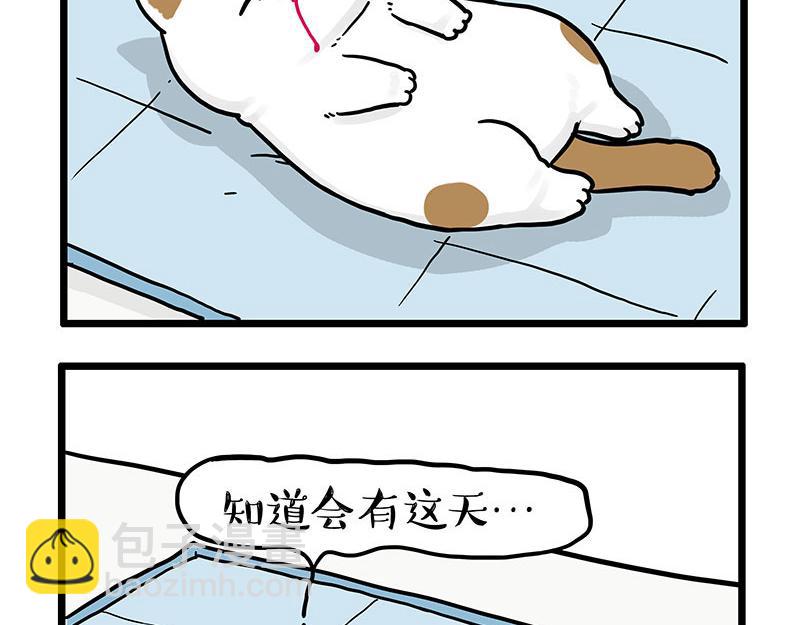 第441话 不要出卖老大！3