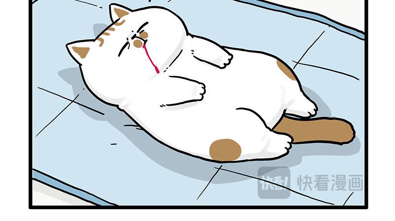 第441话 不要出卖老大！4