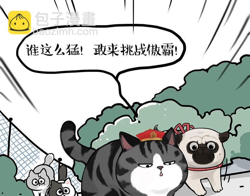 第442话 逆风的挑战12