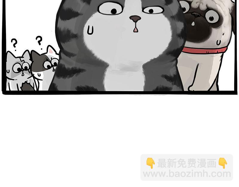 第442话 逆风的挑战15