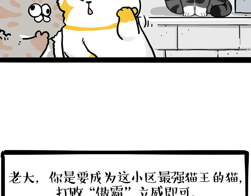 第442话 逆风的挑战24