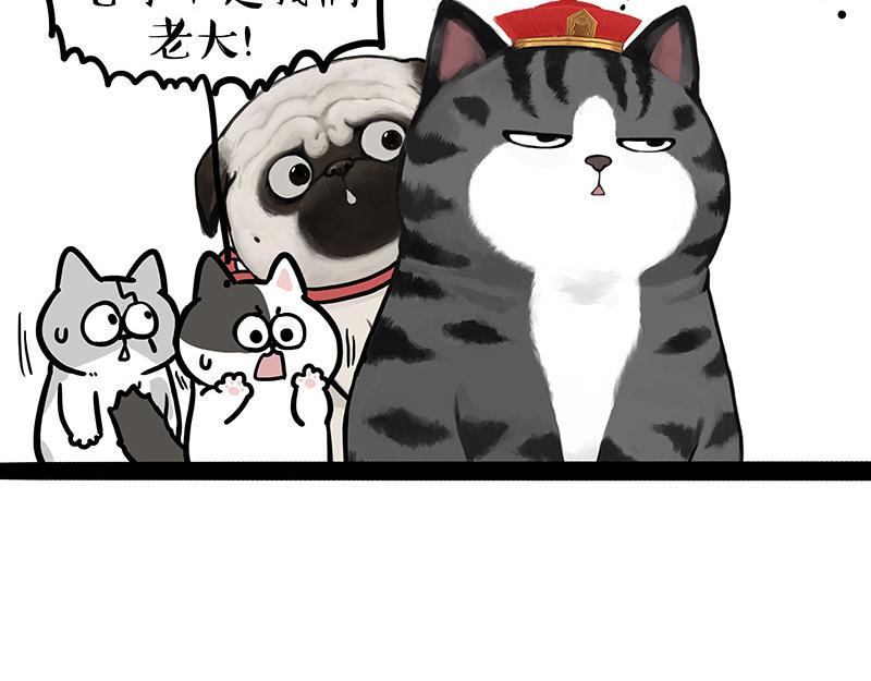 第442话 逆风的挑战27