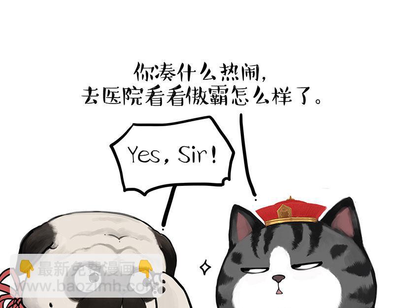 第442话 逆风的挑战36