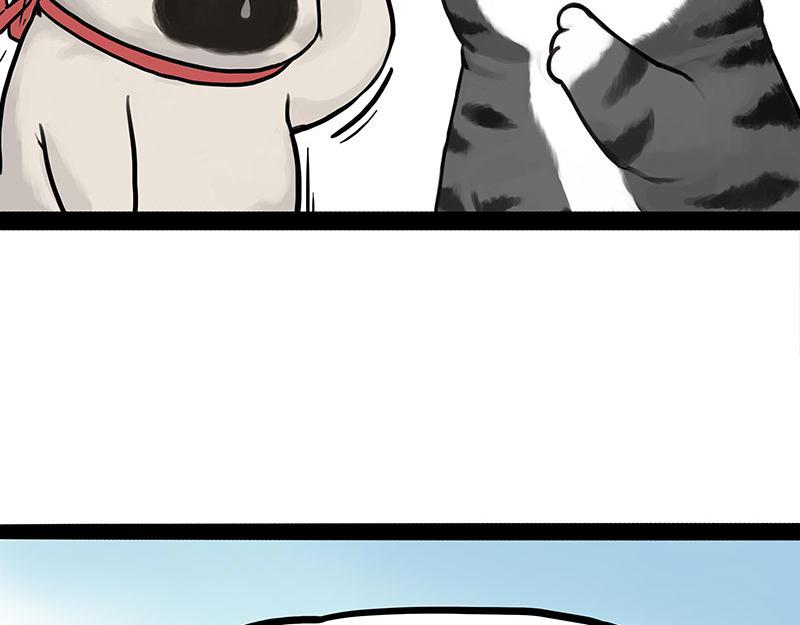 第442话 逆风的挑战37