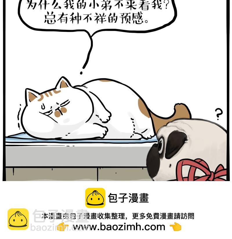 第443话 “癫疯”对决53