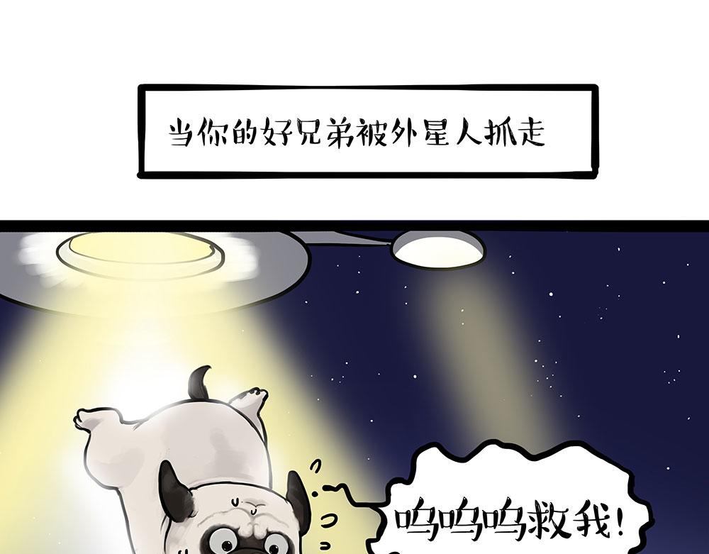 第444话 定！0
