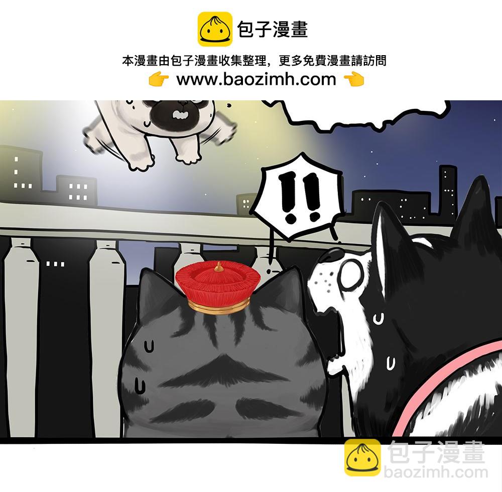 第444话 定！1