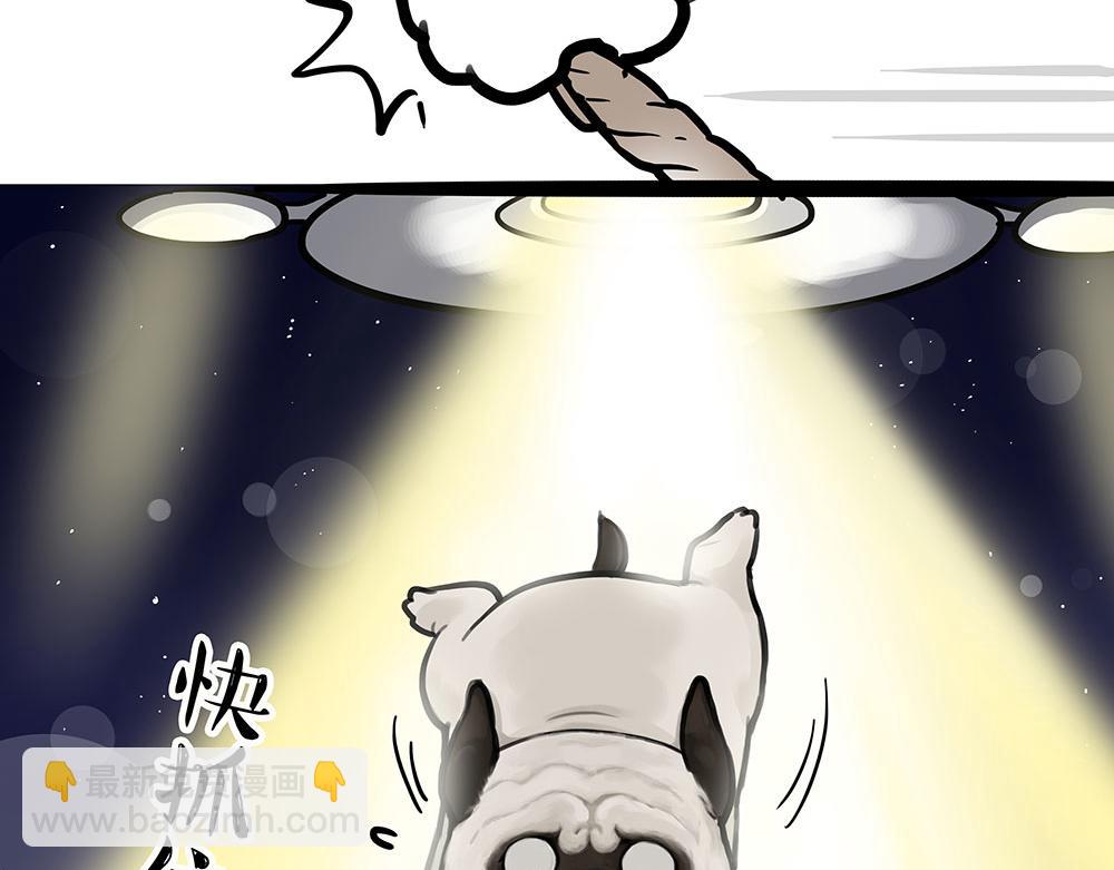 第444话 定！3
