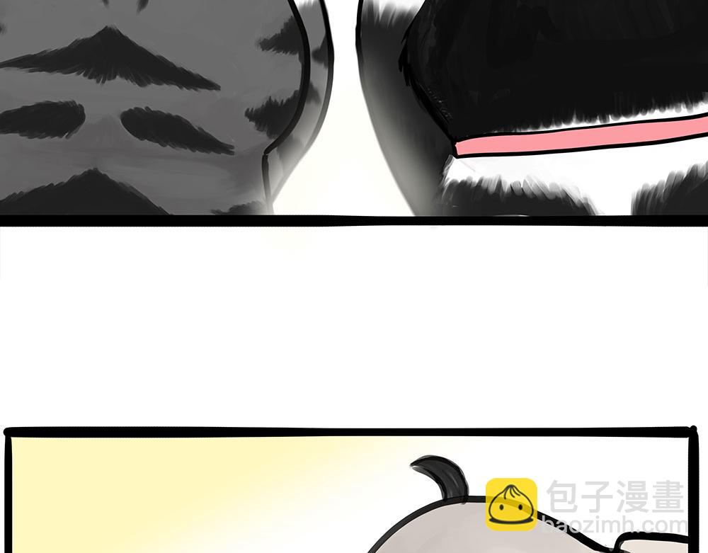 第444话 定！5