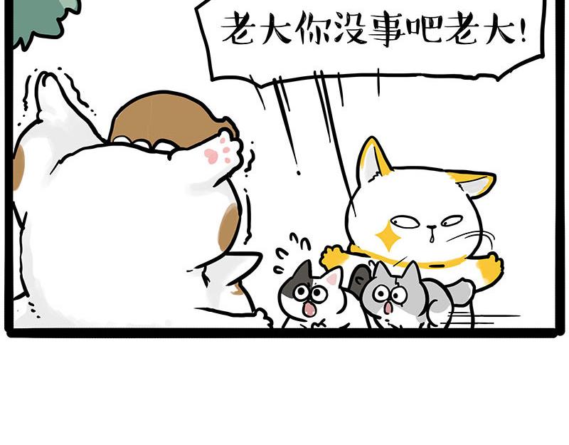 第445话 你就是傲霸？35