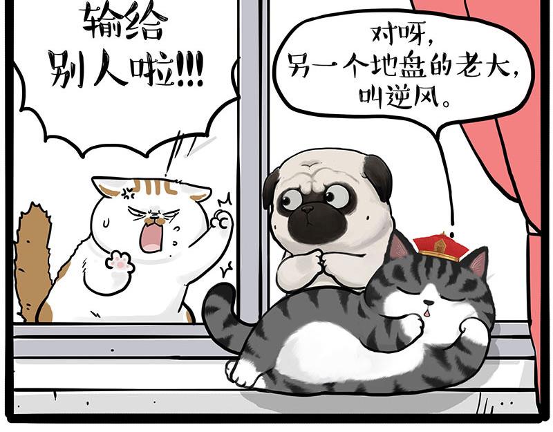 第445话 你就是傲霸？9