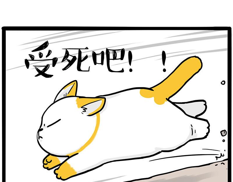 第446话 真相11