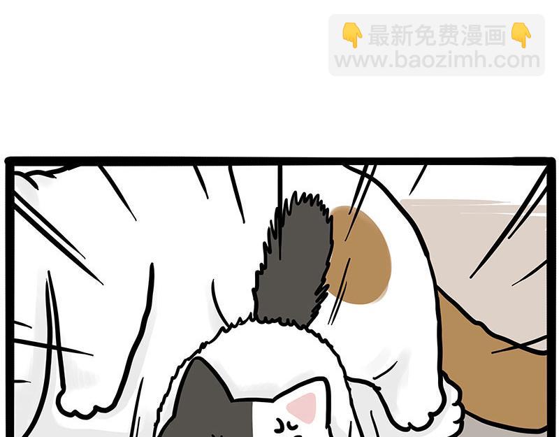 第446话 真相14