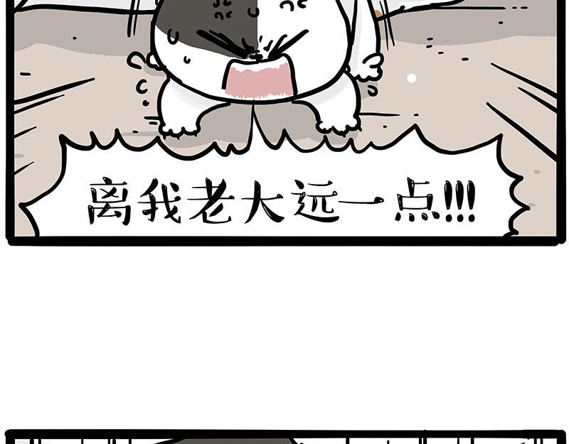第446话 真相15