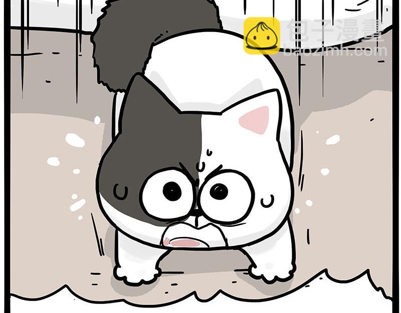 第446话 真相16