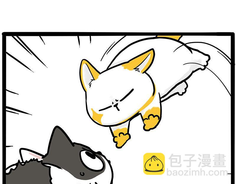 第446话 真相18