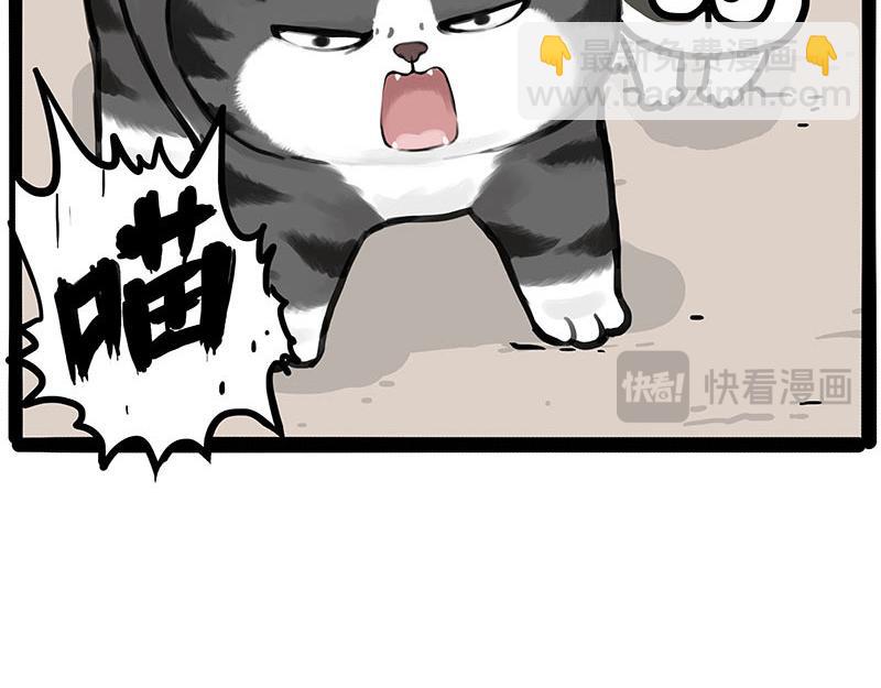 第446话 真相22