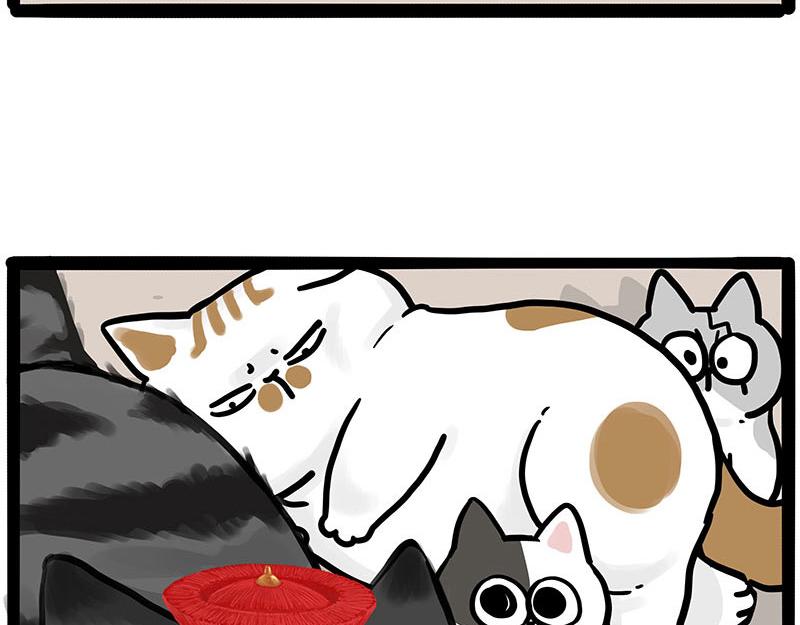 第446话 真相28