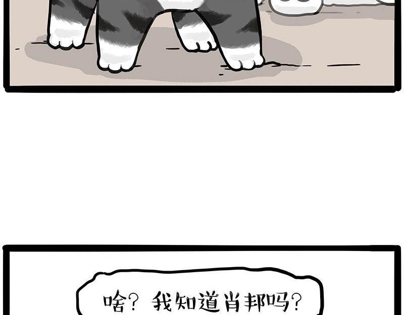 第446话 真相31