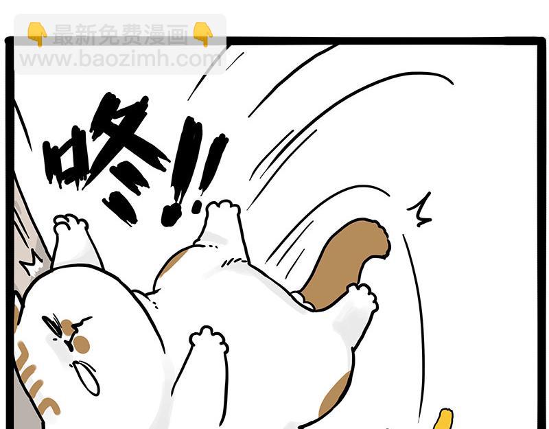 第446话 真相5