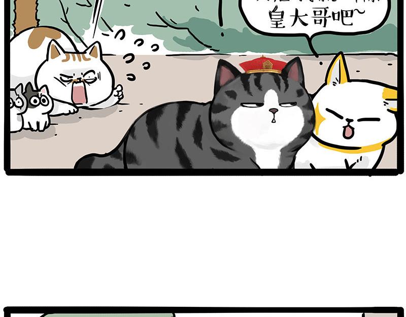 第446话 真相65