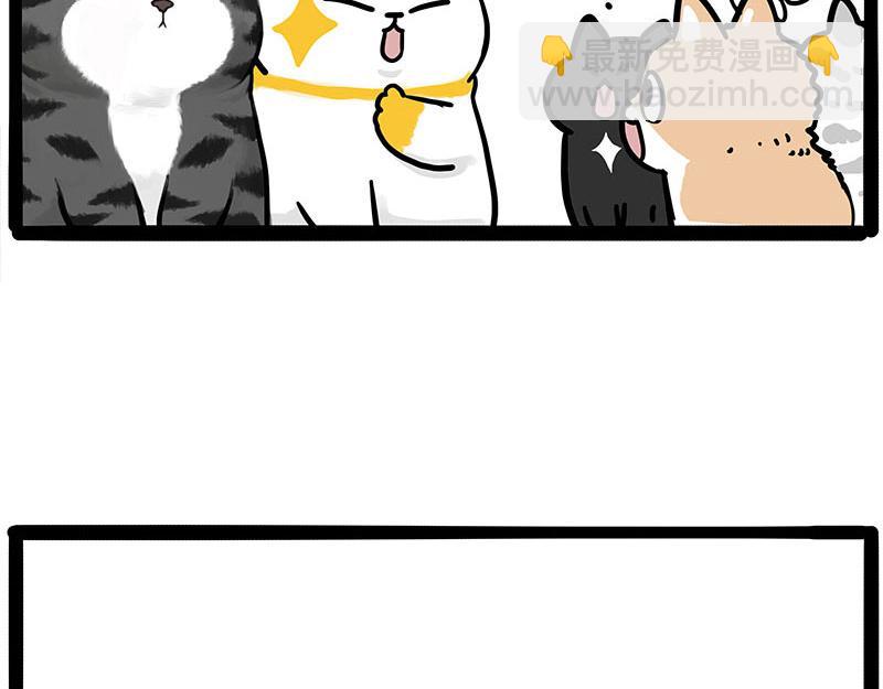 第446话 真相69