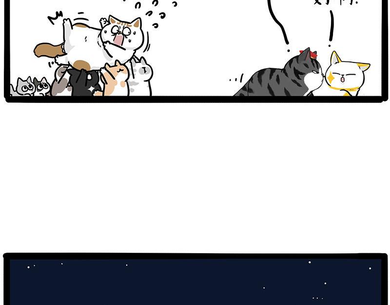 第446话 真相74