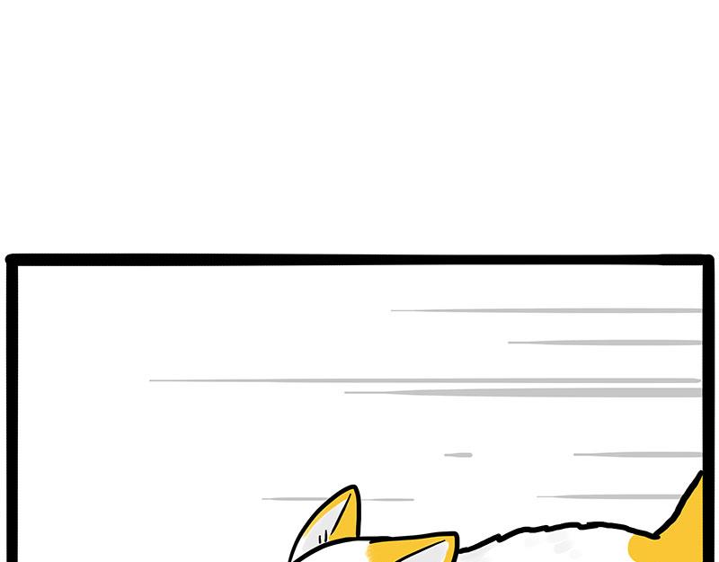 第446话 真相8