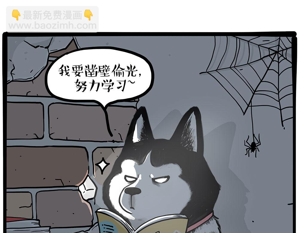 第447话 消息盲盒10