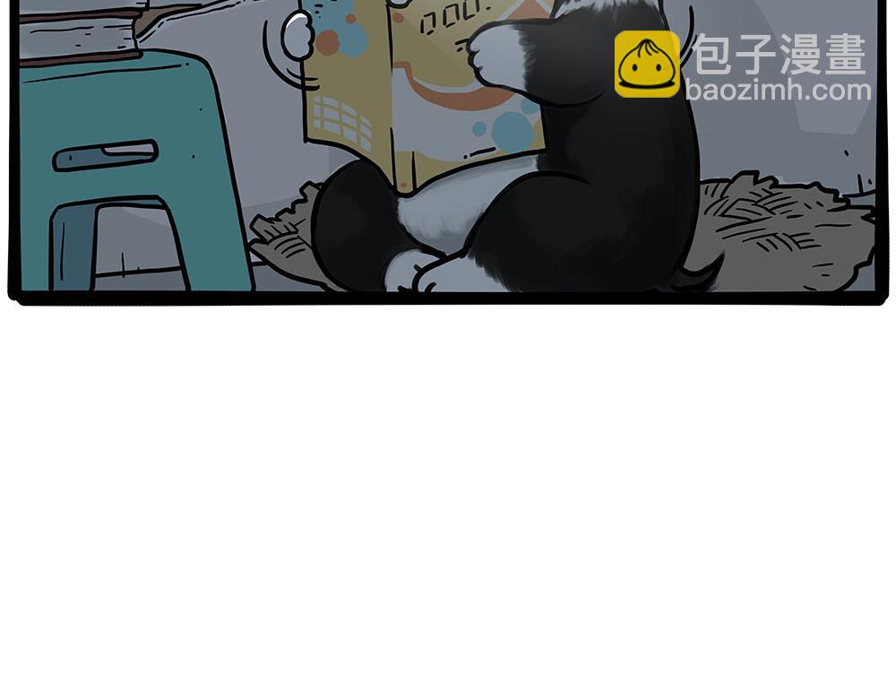第447话 消息盲盒11